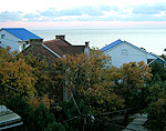 Дельфин - панорама