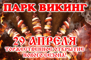 викинг2